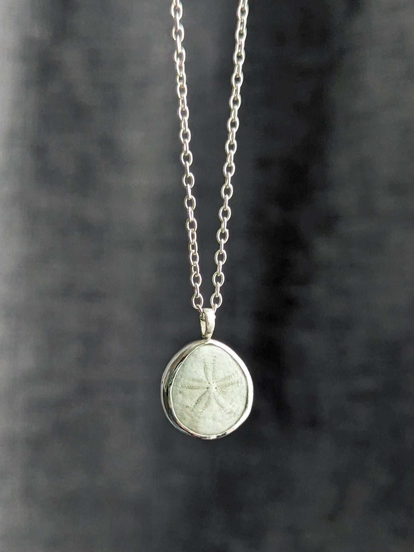 Dainty genuine seashell pendant in Sterling Silver