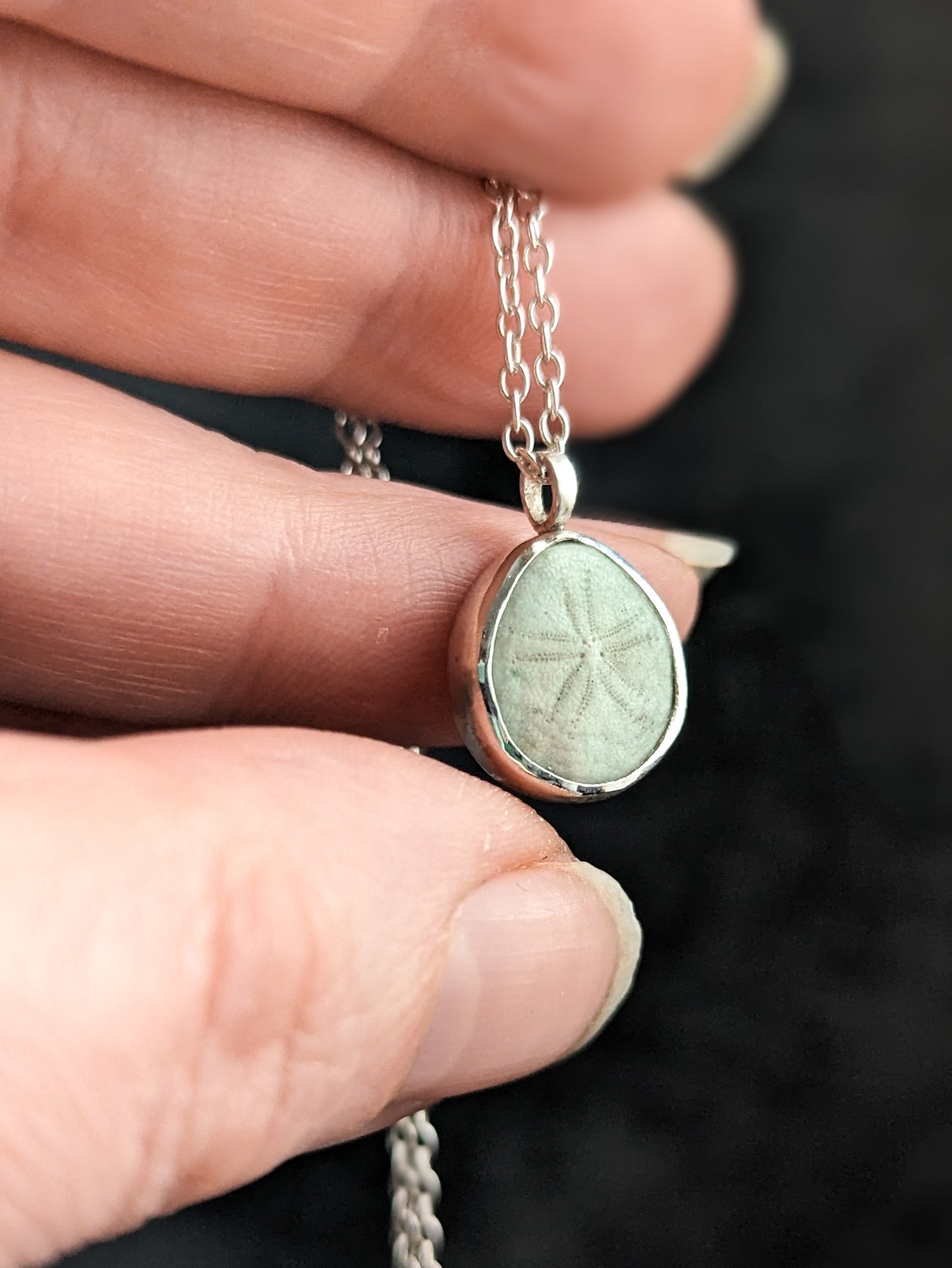 Real seashell petite silver necklace