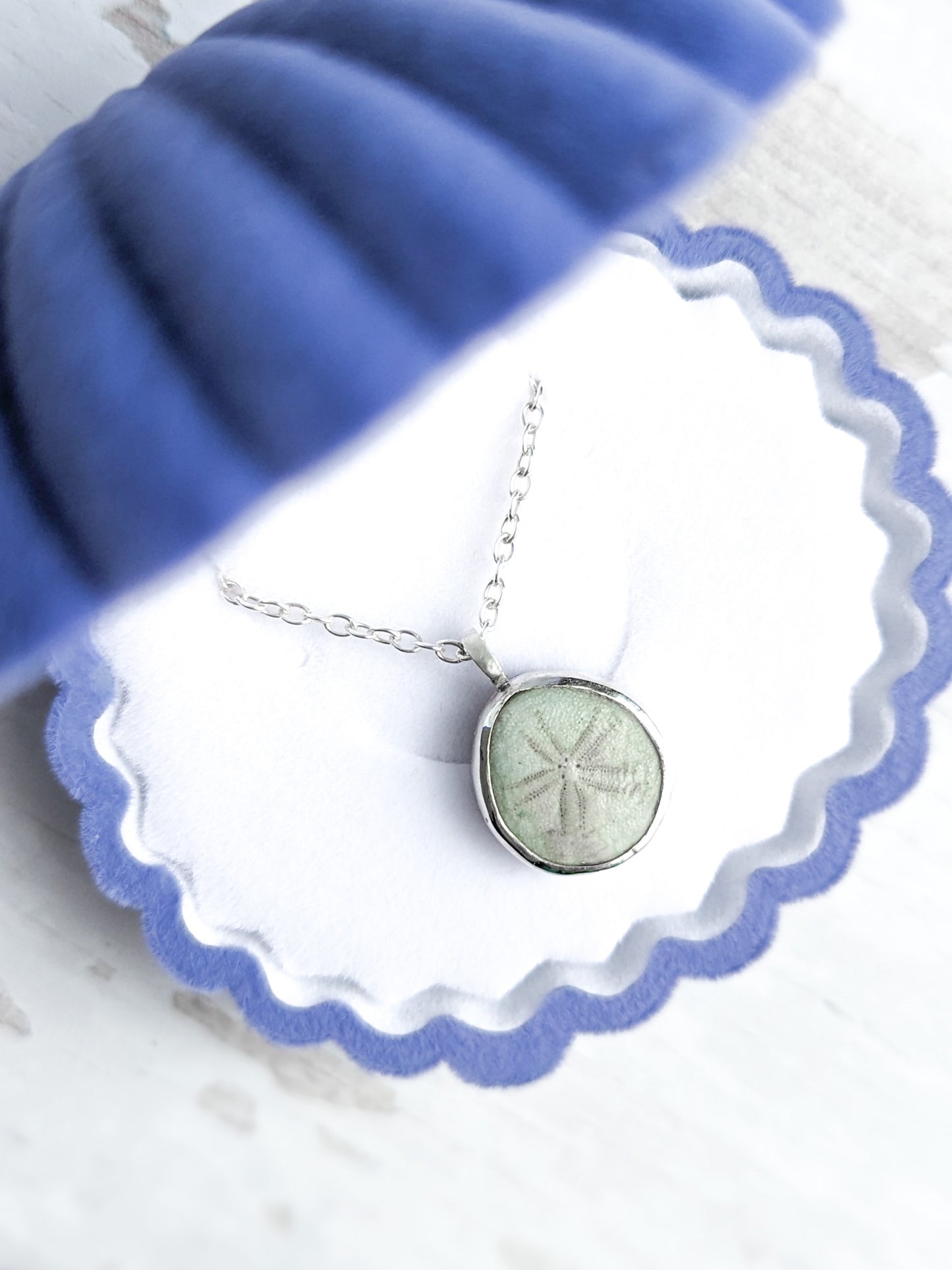 Tiny sea potato urchin shell necklace