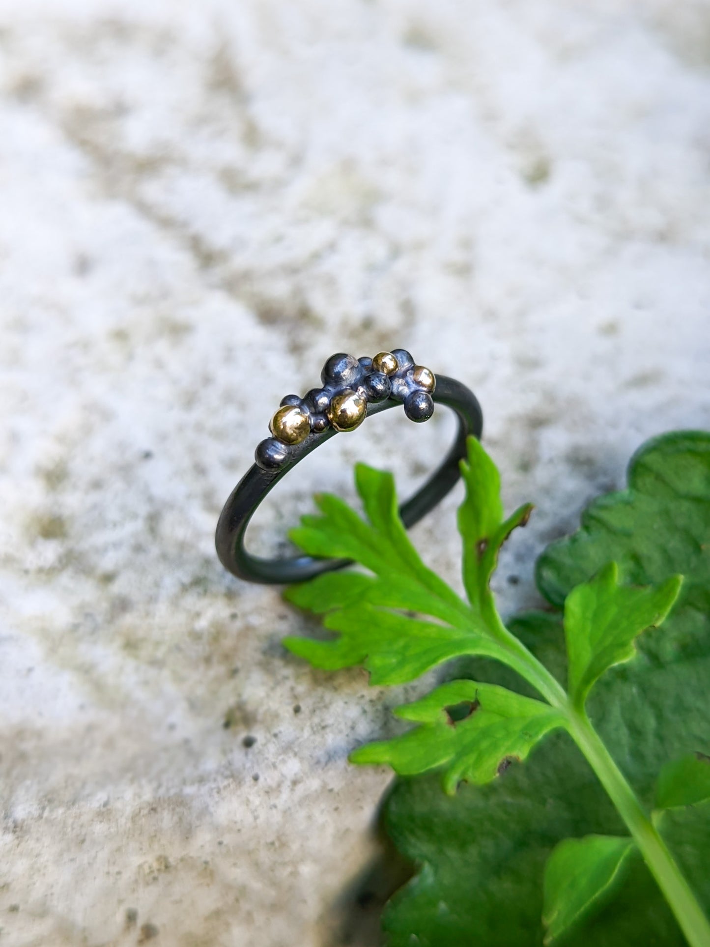 Dark Treasure | Size M1/2 ~ Darkened silver with gold granulation ring, 2 variations.