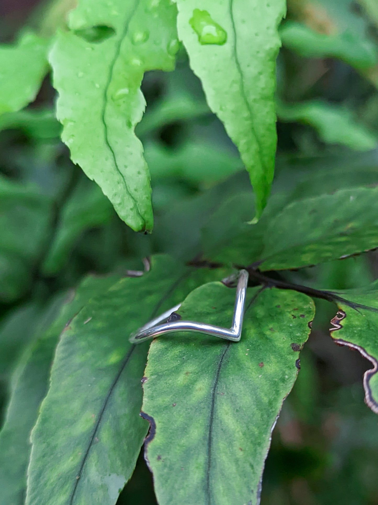 Silver chevron rings ~ 2 styles, Regal & Flow