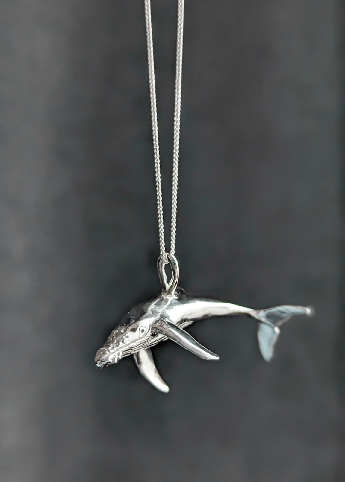 Shiny silver humpback whale necklace hanging in front of a dark grey textured background