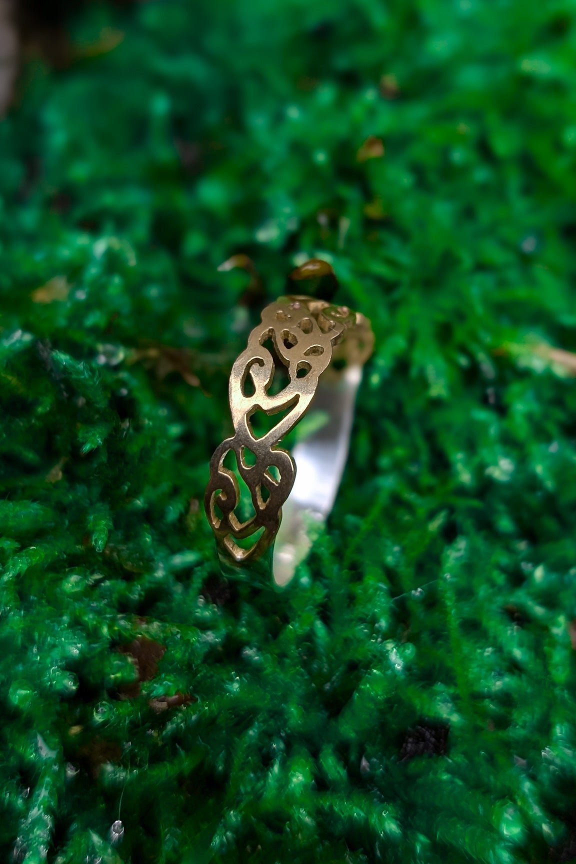 Shiny gold celtic braid ring on a green mossy background