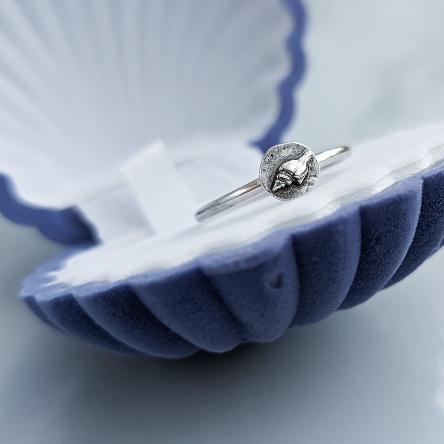 A tiny silver conch shell ring in a blue shell ring box